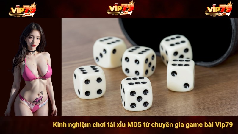 Kinh nghiệm chơi tài xỉu MD5 từ chuyên gia game bài Vip79