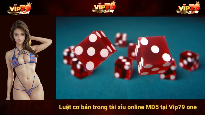 Luật cơ bản trong tài xỉu online MD5 tại Vip79 one