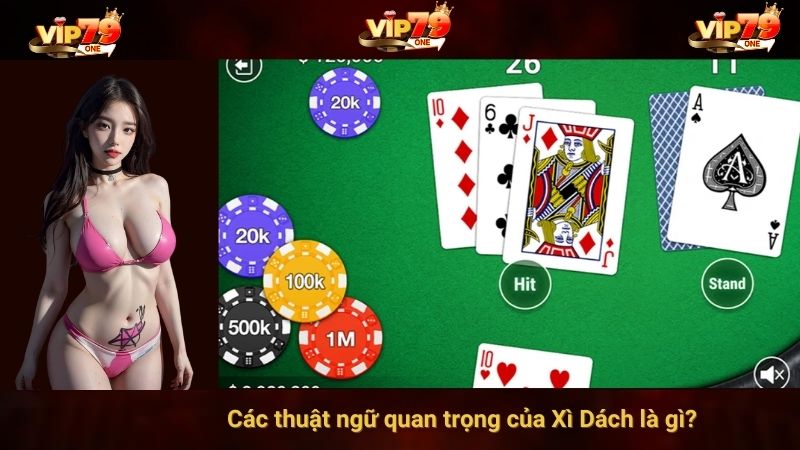 Các thuật ngữ quan trọng của Xì Dách là gì? 