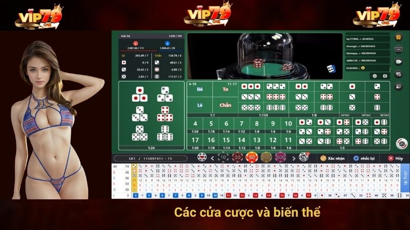 Các cửa cược và biến thể