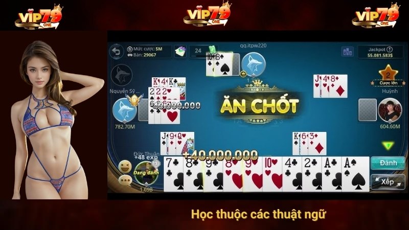 VIP 79: Trở Thành Cao Thủ Đánh Bài Phỏm Chỉ Với 3 Bước 3 Học thuộc các thuật ngữ
