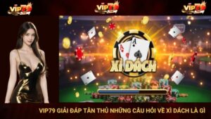 VIP79 Giải Đáp Tân Thủ Những Câu Hỏi Về Xì Dách Là Gì