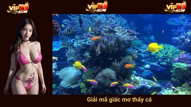 Giải mã giấc mơ thấy cá