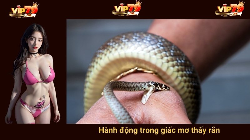 Hành động trong giấc mơ thấy rắn