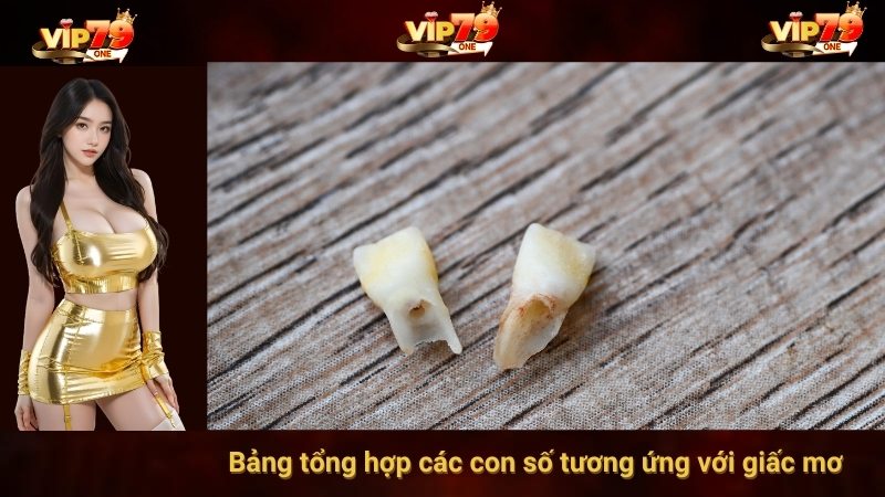 Bảng tổng hợp các con số tương ứng với giấc mơ 