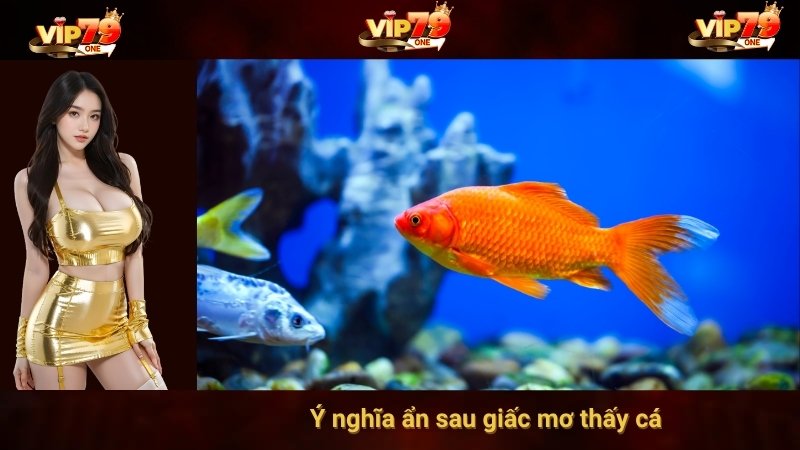 Ý nghĩa ẩn sau giấc mơ thấy cá