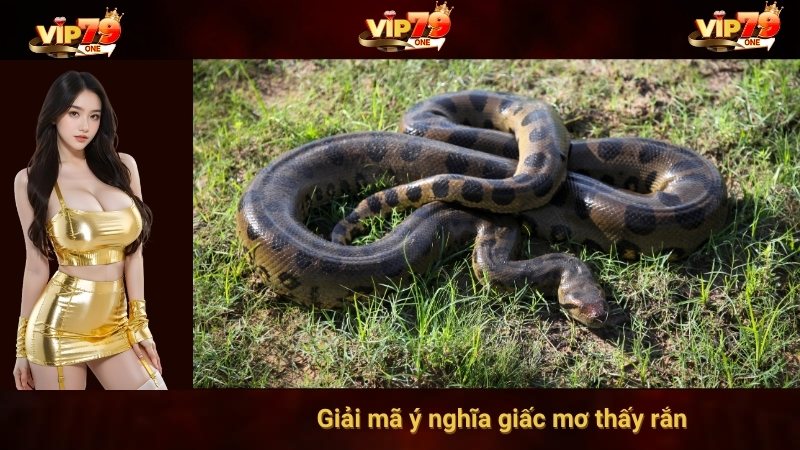 Giải mã ý nghĩa giấc mơ thấy rắn