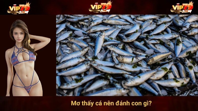 Mơ thấy cá nên đánh con gì?