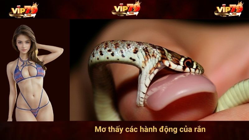Mơ thấy các hành động của rắn