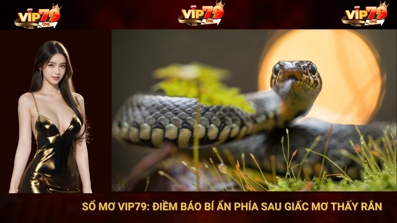 Sổ Mơ VIP79: Điềm Báo Bí Ẩn Phía Sau Giấc Mơ Thấy Rắn 