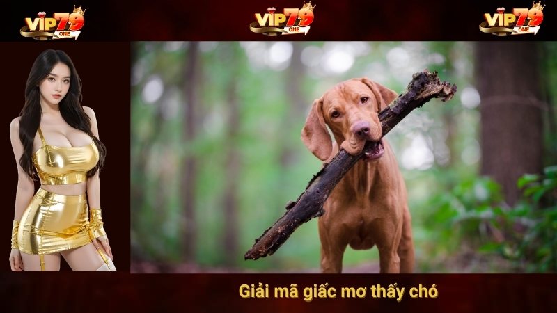 Giải mã giấc mơ thấy chó