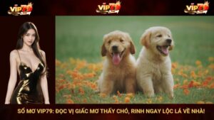 Sổ Mơ VIP79: Đọc Vị Giấc Mơ Thấy Chó, Rinh Ngay Lộc Lá Về Nhà!