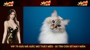 VIP 79 Giải Mã Giấc Mơ Thấy Mèo - Đi Tìm Con Số May Mắn